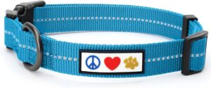 Recycled PET Dog collar